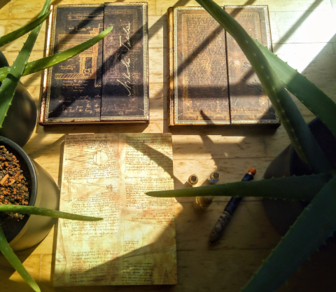 paperblanks skizzenücher von sockenzombie 2020