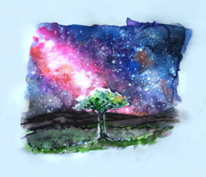 Stargazer
